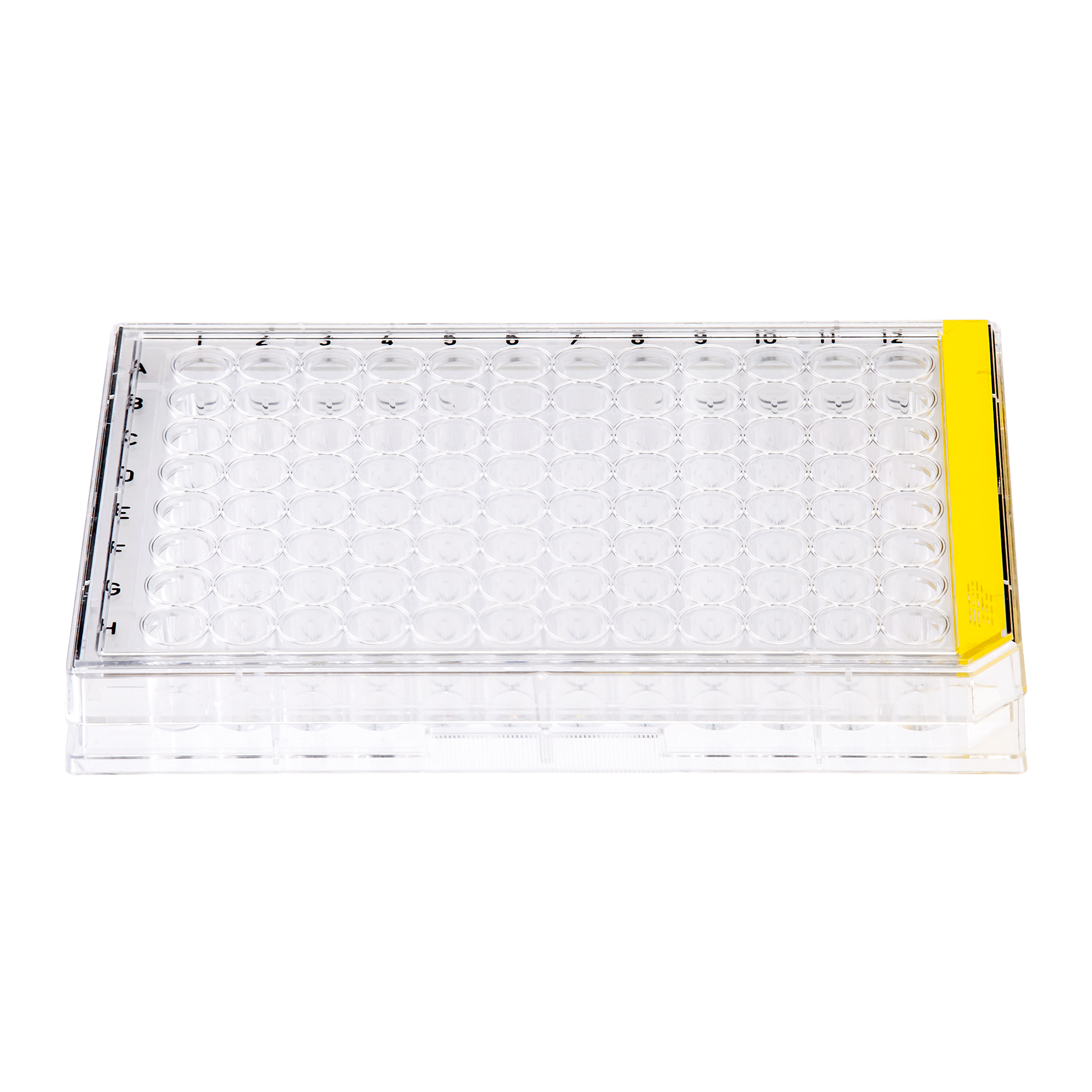 MICROPLACA DE CULTURA CELULAR, 96 POCOS, ...